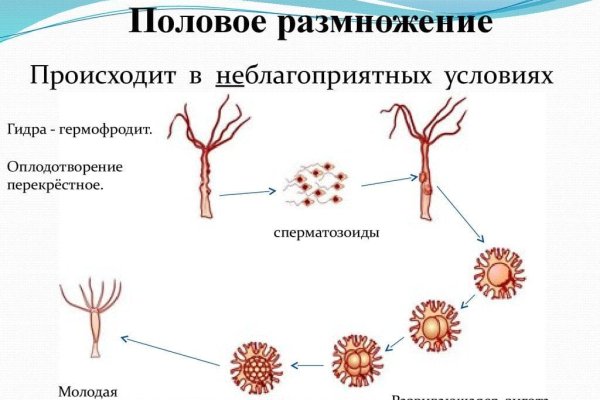 Ссылка на кракен в браузере
