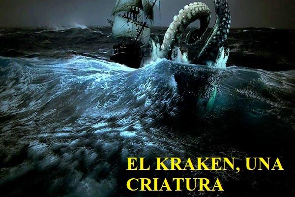 Kraken 13at магазин