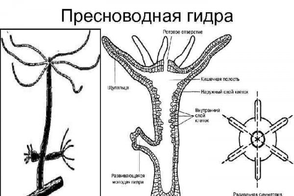 Почему не получается зайти на кракен